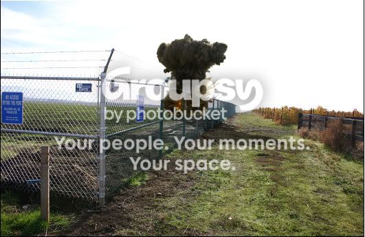http://i731.photobucket.com/albums/ww311/JOHN1COOK2/EXPLOSION.jpg