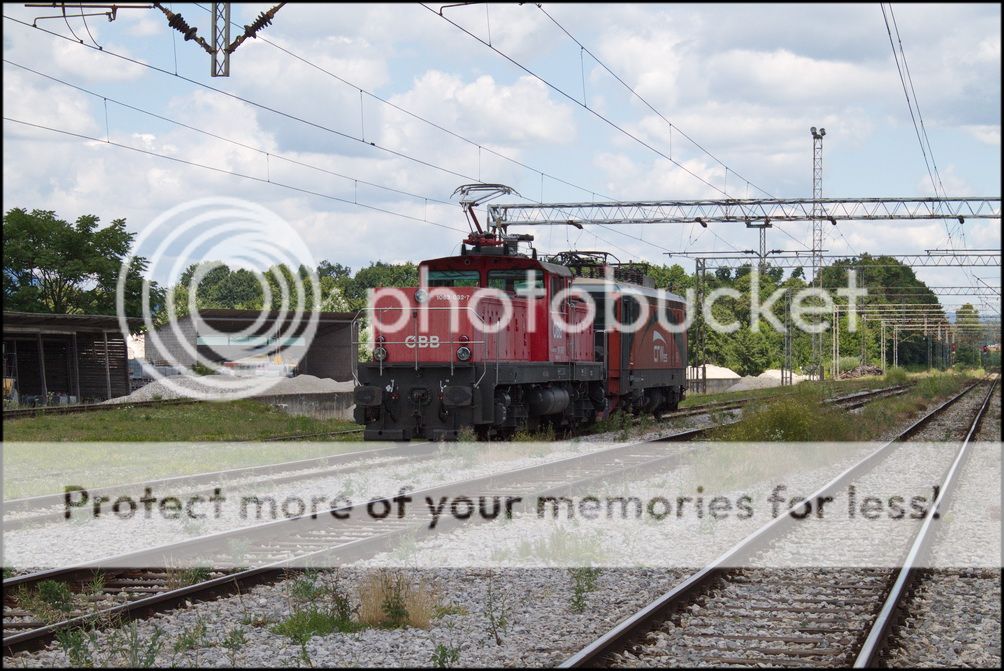 IMG_4867.jpg