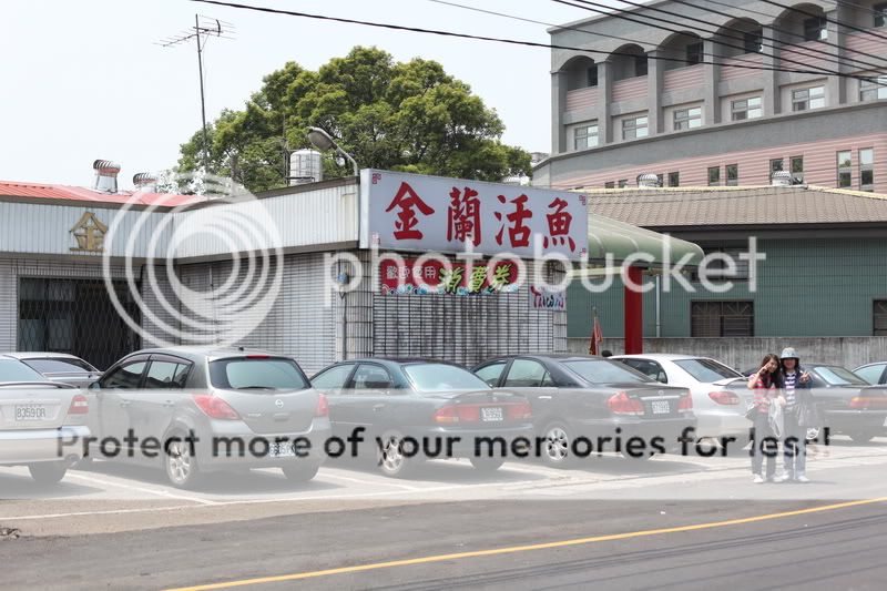 IMG_9656.jpg picture by m68650