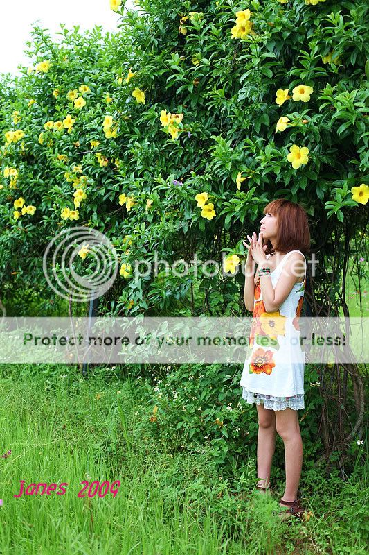 IMG_9874.jpg picture by m68650