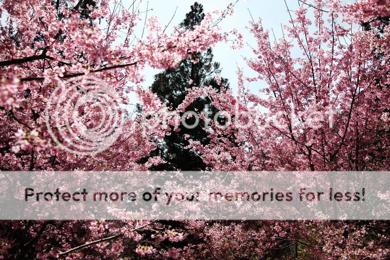 w024.jpg picture by m68650