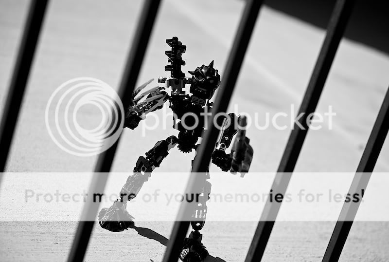 IMAGE: http://i731.photobucket.com/albums/ww316/wdybt/IMG_9933.jpg