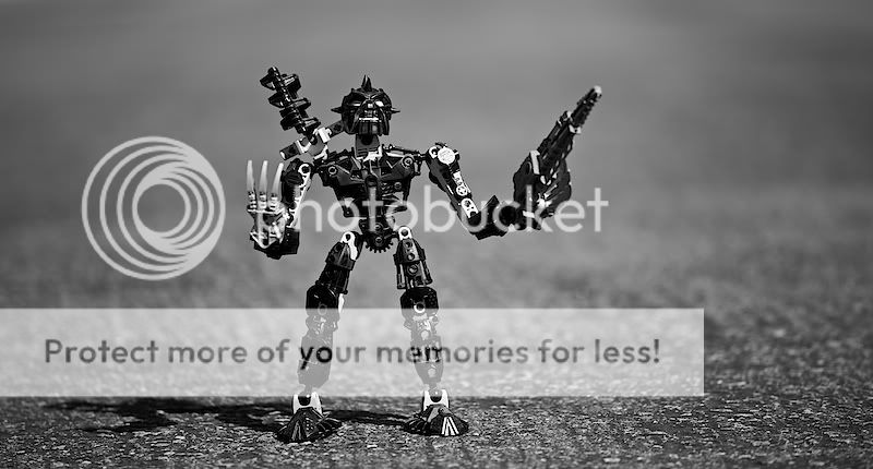 IMAGE: http://i731.photobucket.com/albums/ww316/wdybt/IMG_9939.jpg