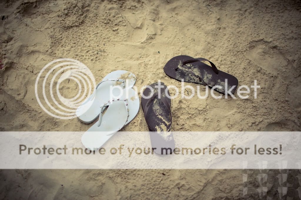 IMAGE: http://i731.photobucket.com/albums/ww316/wdybt/yagit80/IMG_0057.jpg