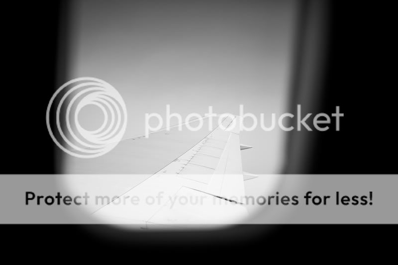 IMAGE: http://i731.photobucket.com/albums/ww316/wdybt/yagit80/IMG_0191.jpg