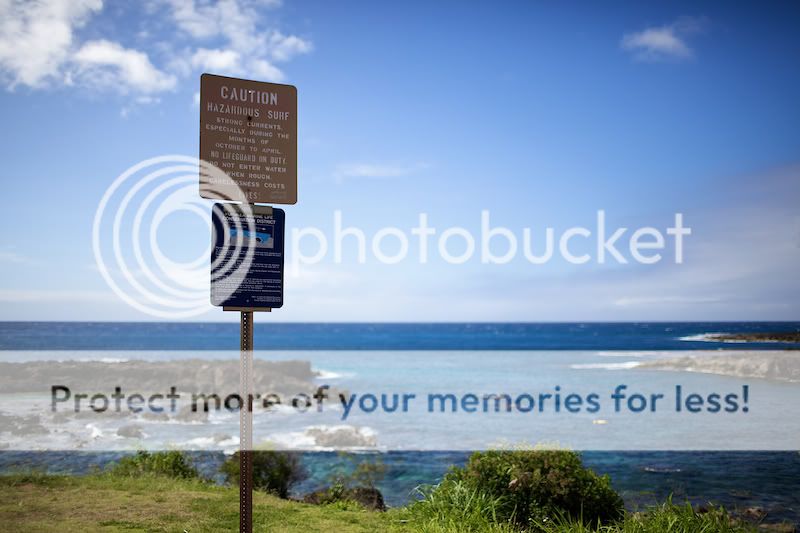 IMAGE: http://i731.photobucket.com/albums/ww316/wdybt/yagit80/IMG_0594.jpg