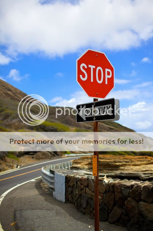 IMAGE: http://i731.photobucket.com/albums/ww316/wdybt/yagit80/IMG_0954.jpg