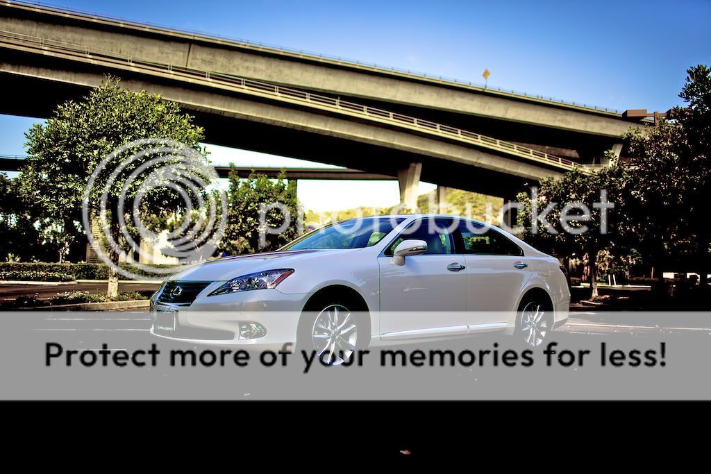 IMAGE: http://i731.photobucket.com/albums/ww316/wdybt/yagit80/IMG_5204.jpg