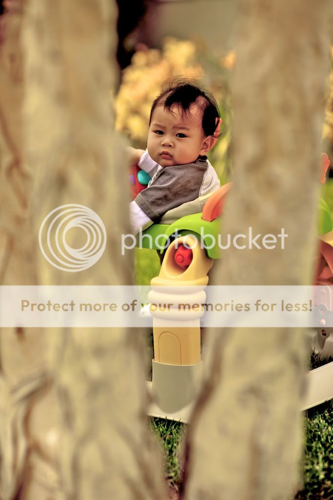 IMAGE: http://i731.photobucket.com/albums/ww316/wdybt/yagit80/IMG_5437.jpg