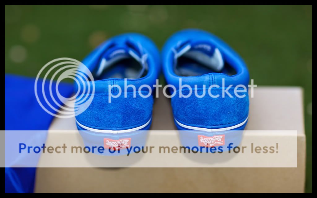 IMAGE: http://i731.photobucket.com/albums/ww316/wdybt/yagit80/IMG_6400.jpg