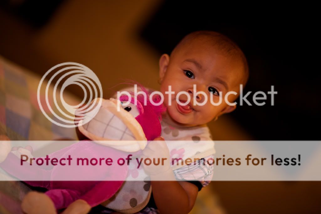 IMAGE: http://i731.photobucket.com/albums/ww316/wdybt/yagit80/IMG_6482.jpg