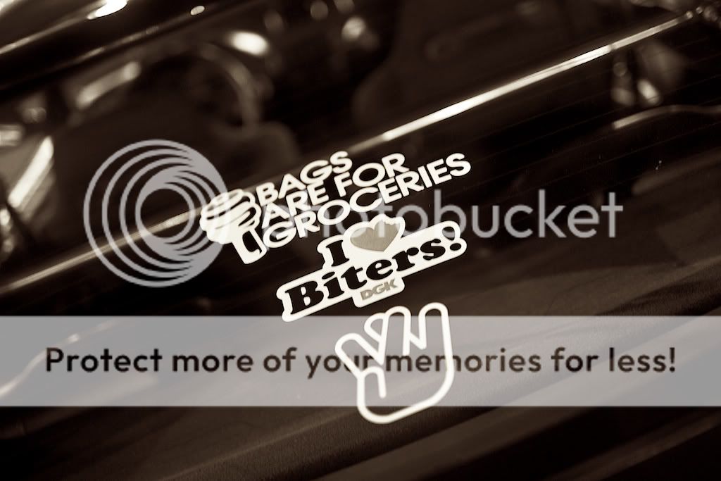 IMAGE: http://i731.photobucket.com/albums/ww316/wdybt/yagit80/IMG_6617.jpg