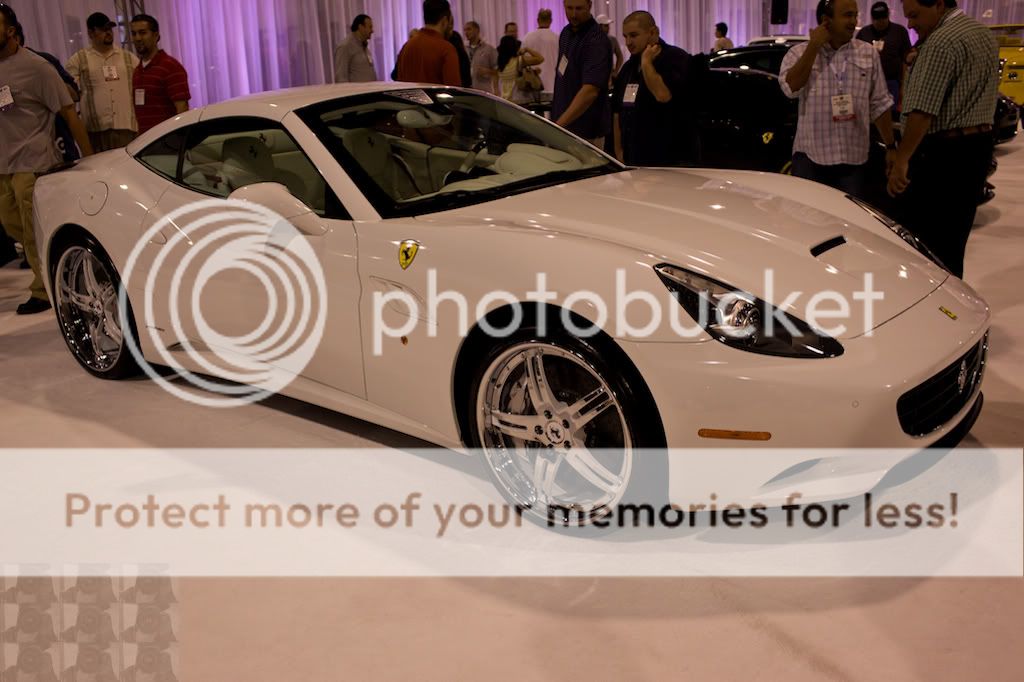 IMAGE: http://i731.photobucket.com/albums/ww316/wdybt/yagit80/IMG_8003.jpg