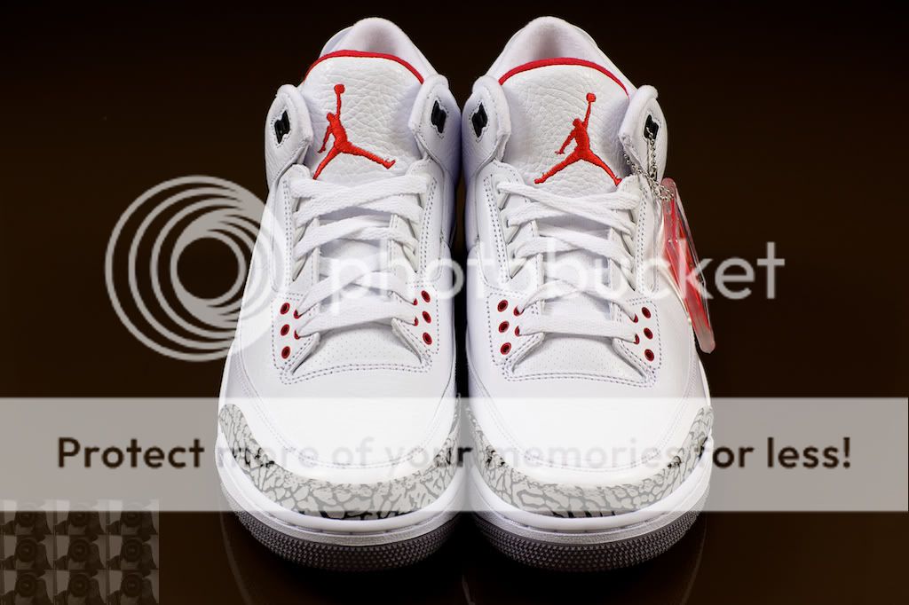 IMAGE: http://i731.photobucket.com/albums/ww316/wdybt/yagit80/IMG_8864.jpg