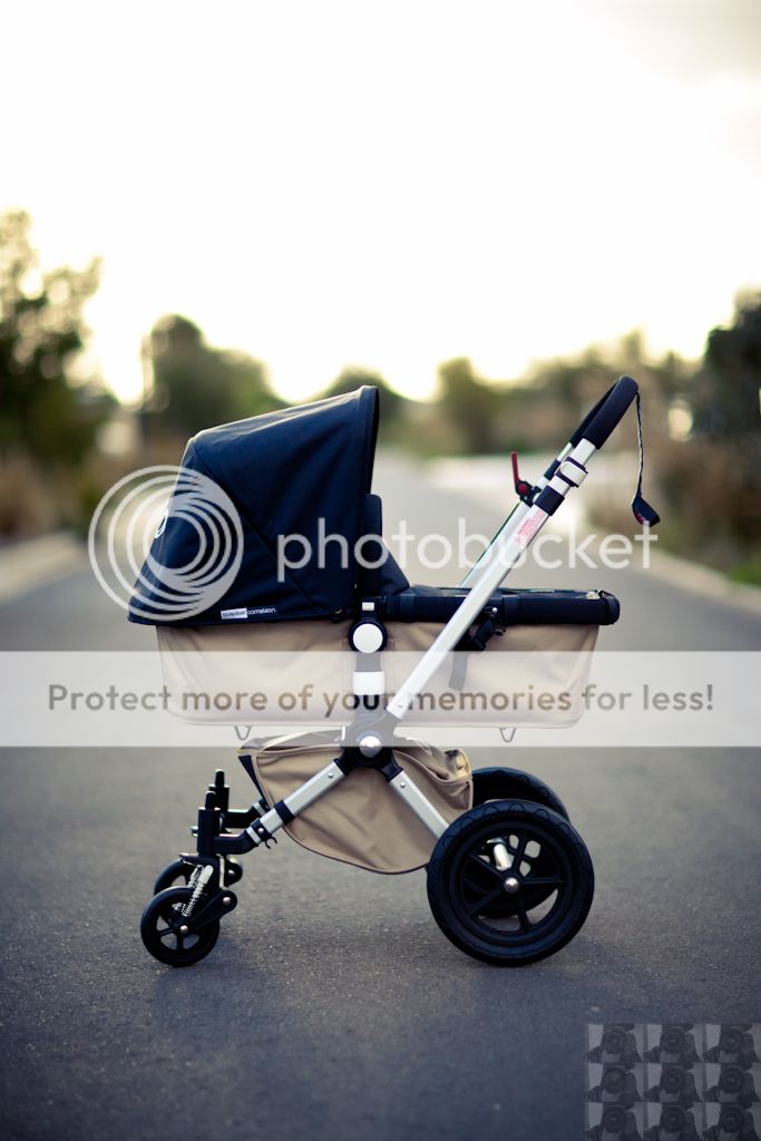 IMAGE: http://i731.photobucket.com/albums/ww316/wdybt/yagit80/RJ/IMG_4272.jpg