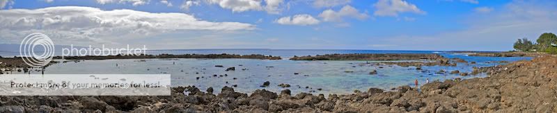 IMAGE: http://i731.photobucket.com/albums/ww316/wdybt/yagit80/scove.jpg