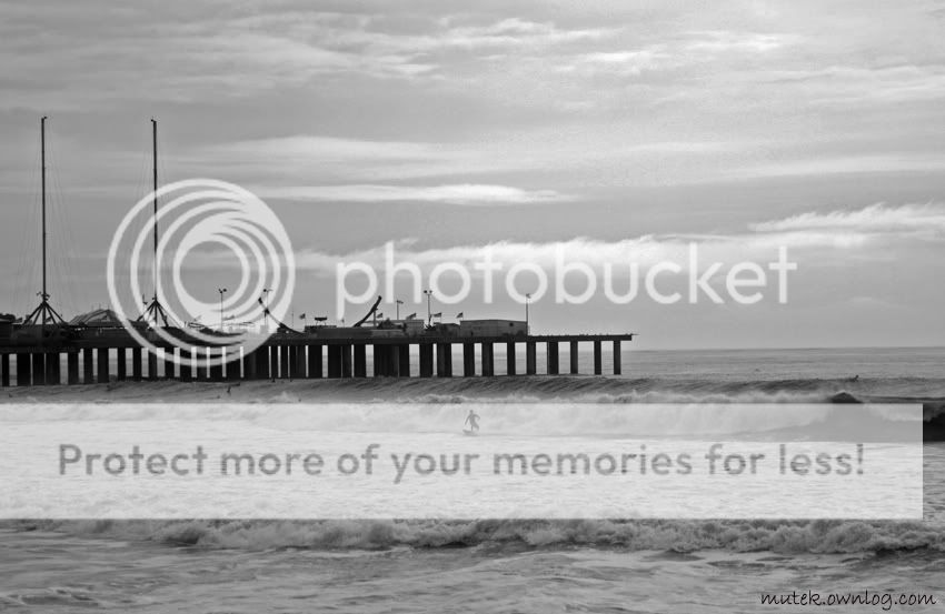 atlantic city surfing surf steel pier nj fale
