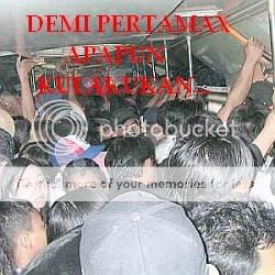bus Pictures, Images and Photos