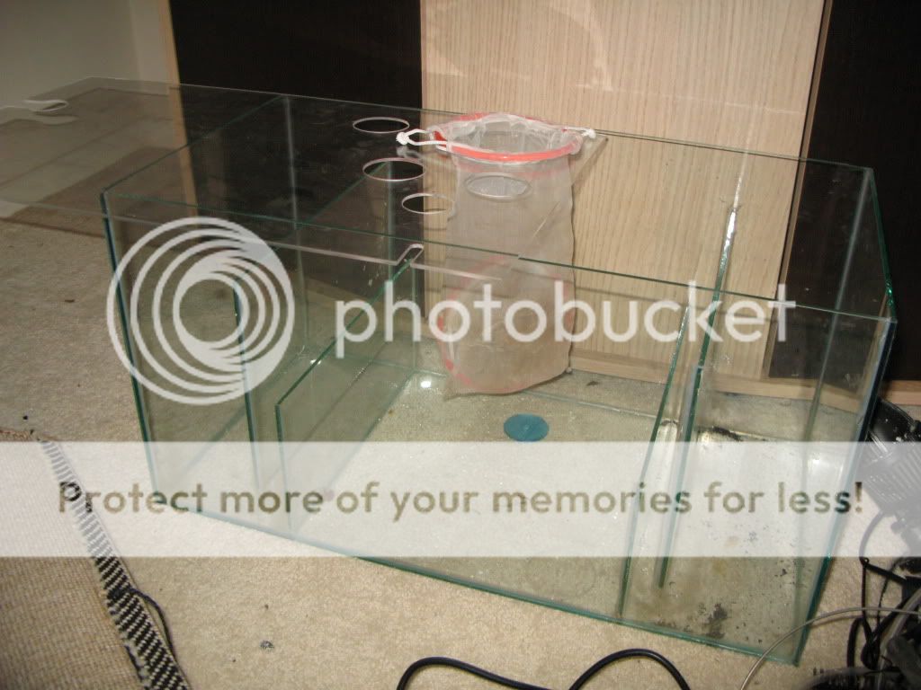 For Sale marine fish tank setup, 250l Volkszone Forum