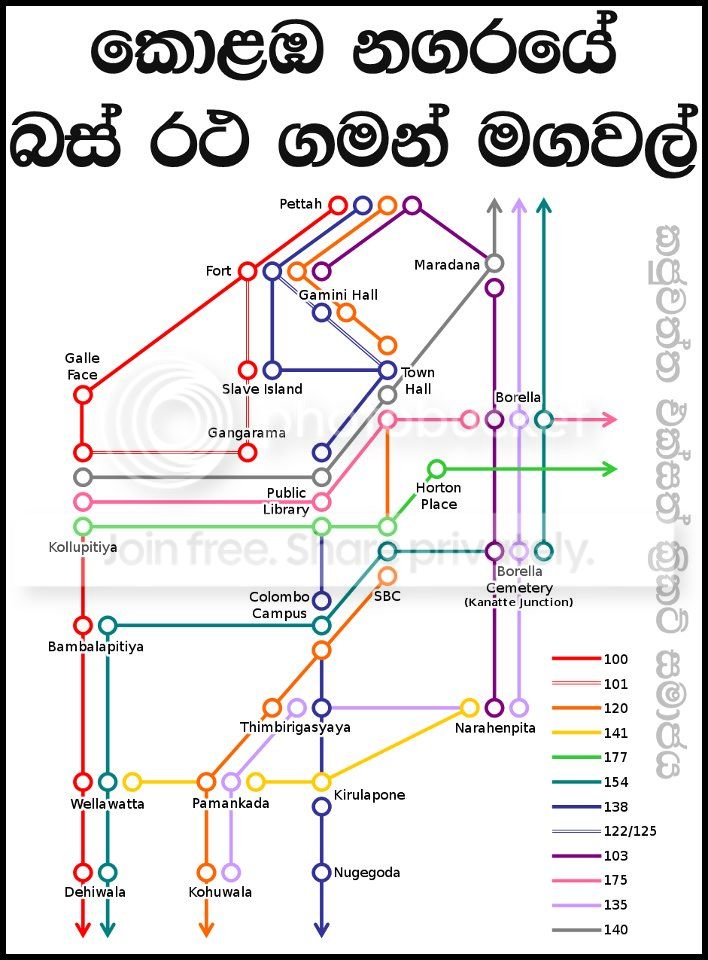 Bus.jpg